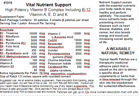 Thumbnail: VITAL NUTRIENT SUPPORT (Vitamin A, B's, C, E, Resveratrol, CoQ10 ot