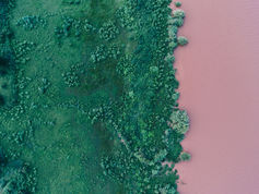 Future Earth: A decade-long initiative for global sustainability