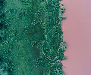 PROFESSIONAL CERTIFICATE PROGRAMME IN GIS
