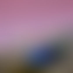 Day 24 - How to Master Cold Process Soap Making in 30 Days