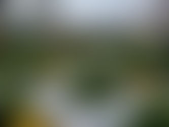 Checklist de Jardinagem no Inverno: Como Manter seu Jardim Saudável na Estação Mais Fria