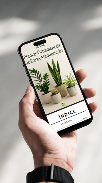 Design sem nome (10).png