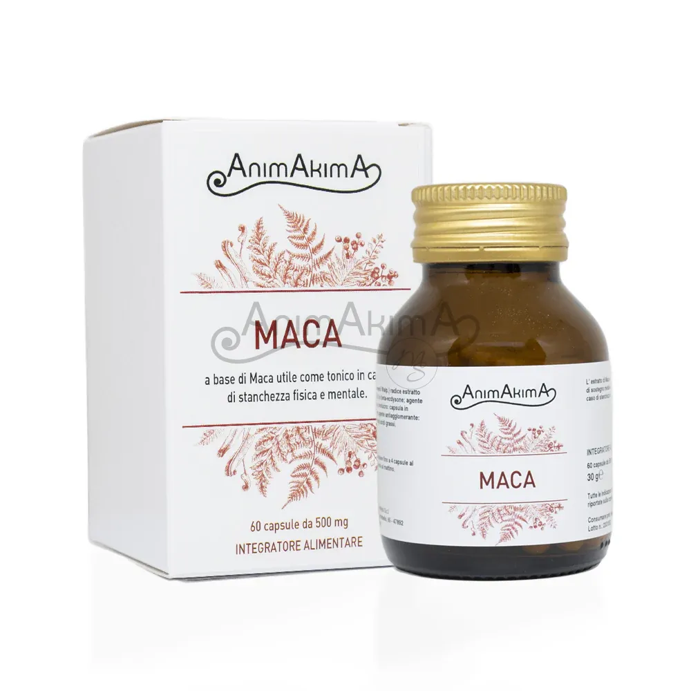 MACA