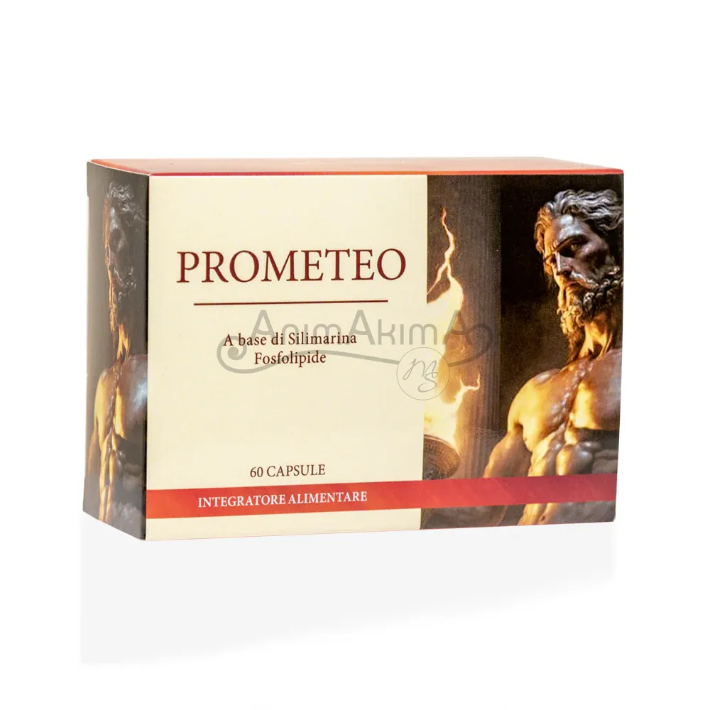 PROMETEO