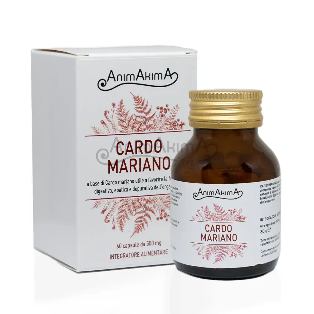 CARDO MARIANO