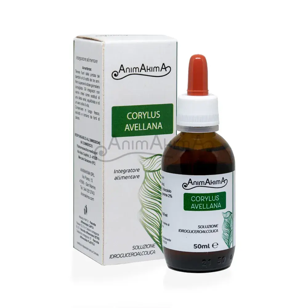CORYLUS AVELLANA TINTURA 50ML