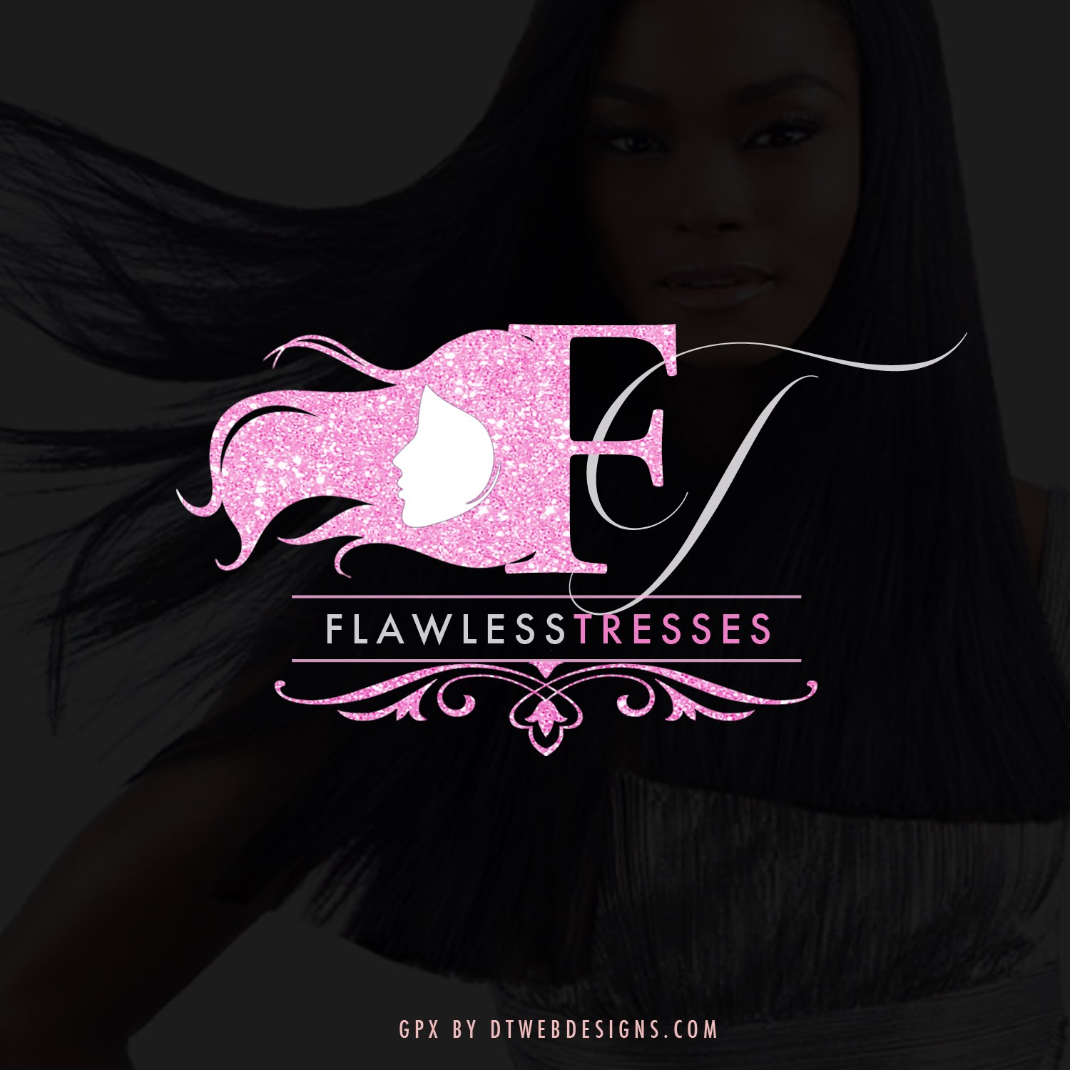 Dt Webdesigns Logo Design