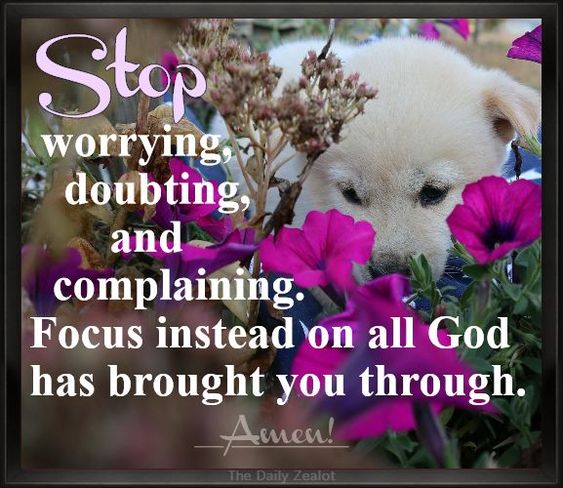 💖1 Chronicles 16:11💖
Seek the LORD and His strength, seek His face continually.... content media