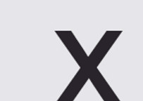x.jpg
