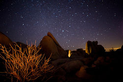 starry night