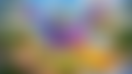 דברים שמוצאים בחוץ (אם אתם חיים באגדות): דרקון 🐉