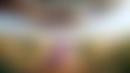 נמר, זה עם פסים או עיגולים?