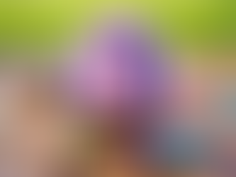 המסטיק: גומי לעיסה או עיסה? 🍬