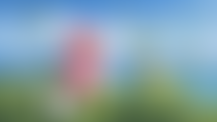 דברים שמוצאים בחוץ: פרפרים לבנים - מי זה מי? 🦋