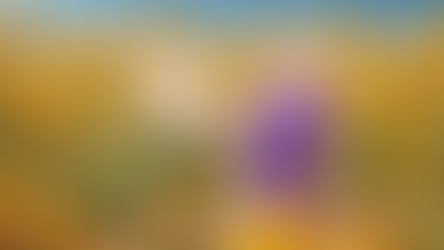 דברים שמוצאים בחוץ: סביונים 🌼