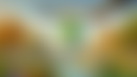 סתיו: המסע המופלא של הציפורים (או עופות נודדים בשמי ישראל) 🍂