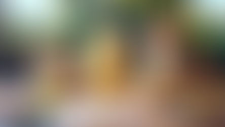 דפי פעילות וצביעה בכיכובם של הקרקל, הבריום ושאר החברים