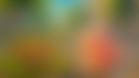 דברים שמוצאים בחוץ: יאורית מצרית 🪿