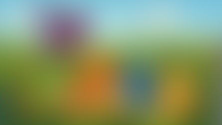 חוברת פעילות קצרה: מבוכים ודרקונים