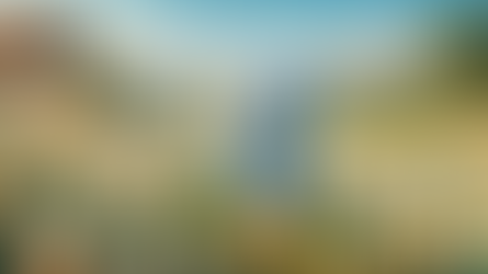 דברים שמוצאים בחוץ: נרקיס - הפרח שהתאהב בעצמו 🌼