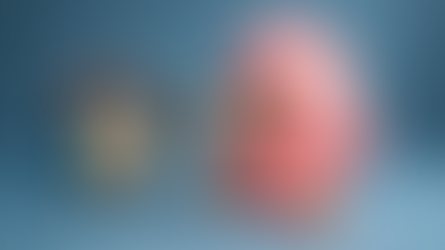 למה הרגל שלנו "נרדמת"? 🦵