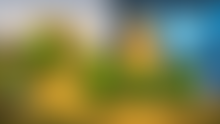 לומדים אזרחות: למה בכלל צריך שלטון? 🏛️