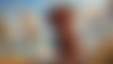 מגלי ארצות: פרדיננד מגלן - האיש שהוכיח שכדור הארץ עגול 🌍🚢