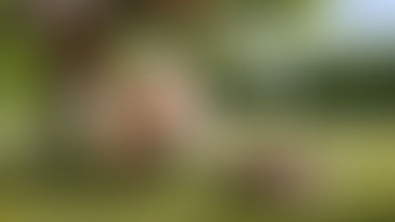 שעת סיפור: קוטן בוטן