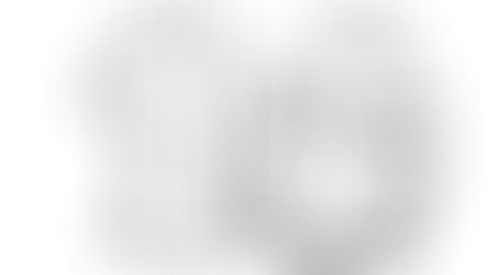 אפרוחי צביעה - מספרים