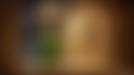 דברים שמוצאים בחוץ: שממית, השכנה השקופה שמטפסת על הקירות 🦎