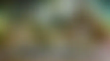 שעת סיפור: נמר ושמו אריאל