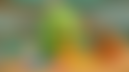 איך להכין בובת מטריושקה (ולא בבושקה ממולאת...)