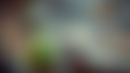 כלי תחבורה: מרי אנדרסון והמצאת מגבי השמשות 🚗💦