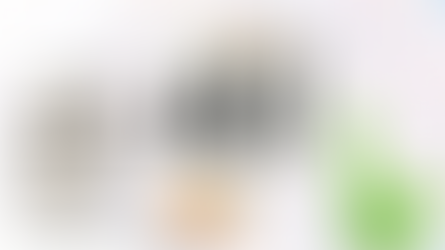 חוברת צביעה #65: אפרוחים חוקרים את האבולוציה