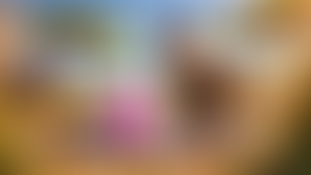 דברים שמוצאים בחוץ: קרנף, גיבור המשקל הכבד 🦏