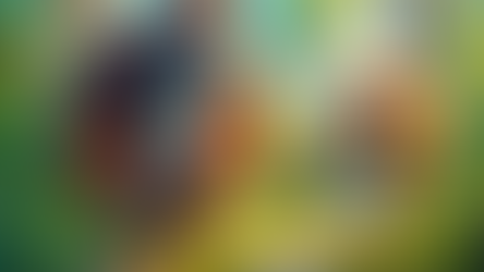 סבאש'ך קוף: אבולוציה בעבר, בהווה ובעתיד (הבצפר)