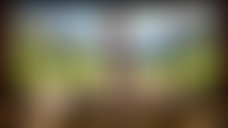 סרט: טד החוקר החופר חוזר