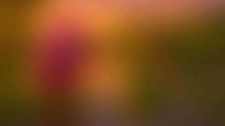 דברים שרואים בחוץ: צפרדע? או קרפדה? 🐸