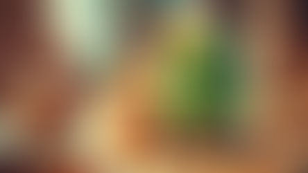 פעילויות וחידות מטעם תמיר