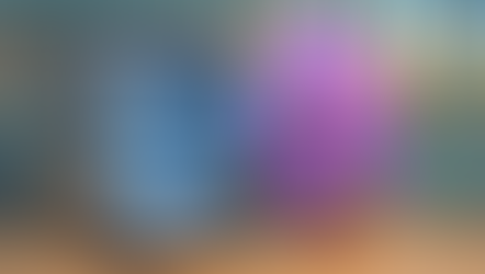 איך עובד מדיח הכלים? 🍽️✨