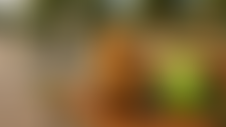 לימדו לשחק שחמט ב"דואלינגו"! ♟️