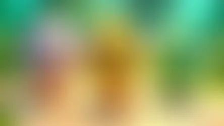 הרפתקאת האפרוחים בעמק האור: משחק אינטראקטיבי