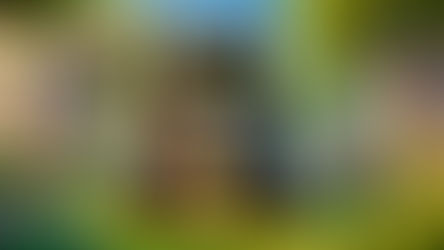 אמונות תפלות: חתול שחור 🐈⬛