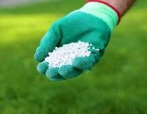 Why Winter Granular Fertilization Sets Boujee Lawn and Ornamental Apart