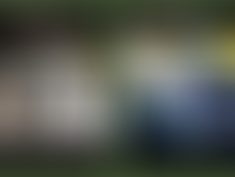 search vs search for