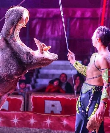 Aris, nipote di Rony e giovane promessa del Circo Rony Roller, in un momento di spettacolo che riflette l'eredità familiare e