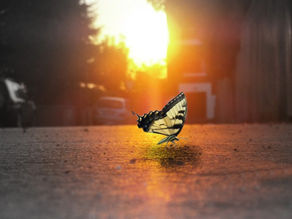 നന്മയുള്ള വാക്കുകൾ