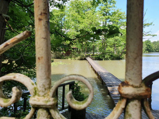 La Forêt de Rambouillet et les Étangs de Hollande