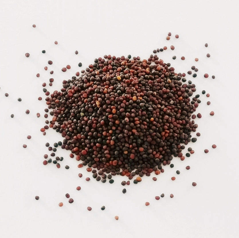 Thumbnail: Seed Refill Packs