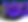 Growing-Amazing-African-VioletsFeature.png